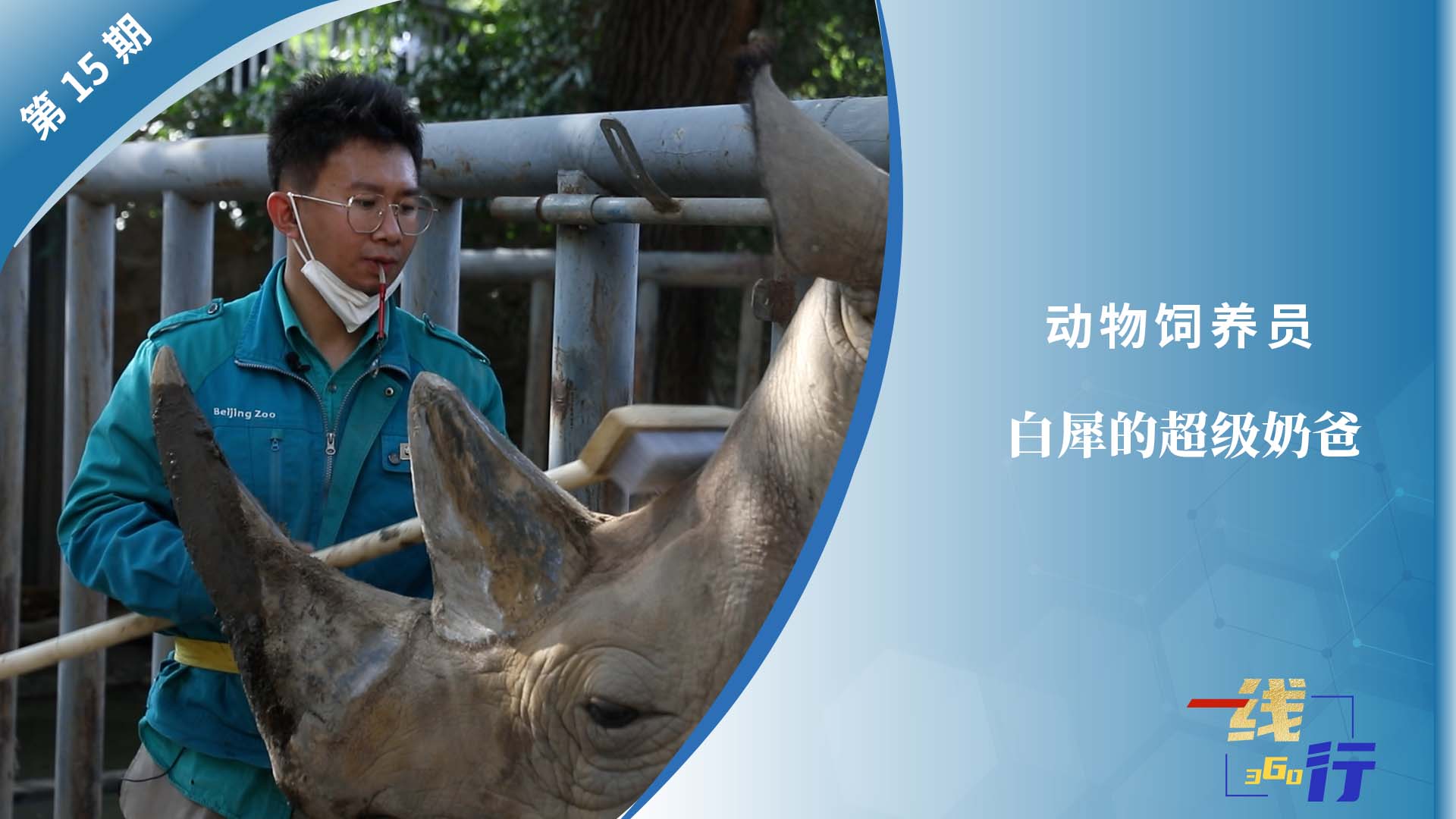 【一線：360行】動物飼養(yǎng)員：白犀的超級奶爸