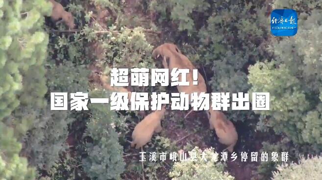 ໆ������ȾW(w��ng)�t���u