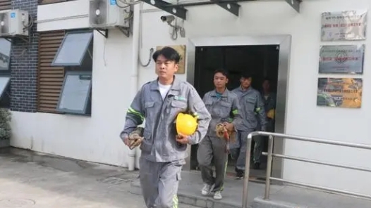 中國夢·大國工匠篇 ｜“城市理發(fā)師”楊飛飛：為了那5萬棵行道樹的風(fēng)景