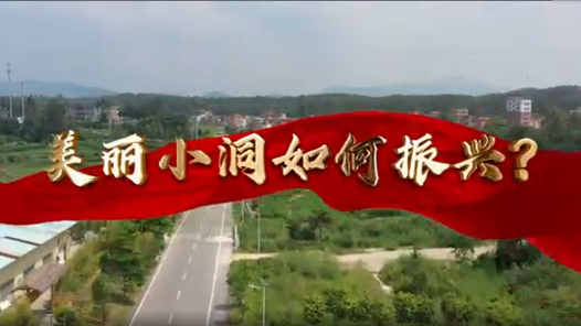 身邊榜樣丨黃國(guó)輝：振興生態(tài)小洞 建設(shè)美麗鄉(xiāng)村