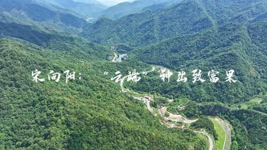 身邊榜樣丨宋向陽(yáng)：“云端”種出致富果