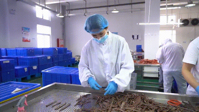 擺放