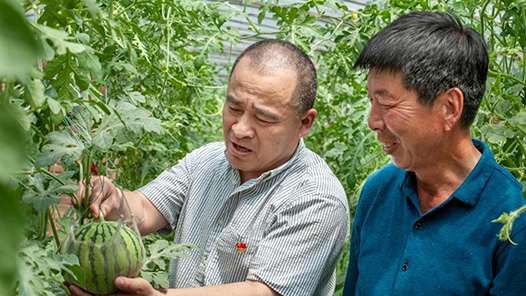 筑夢現(xiàn)代化 共繪新圖景·最美職工｜守護(hù)農(nóng)田的“土”專家