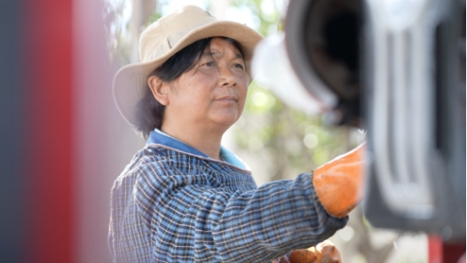 筑夢現(xiàn)代化 共繪新圖景·最美職工｜用“一身臟”守護(hù)洱海源頭碧水青山