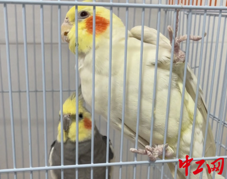 圖片 2 拷貝