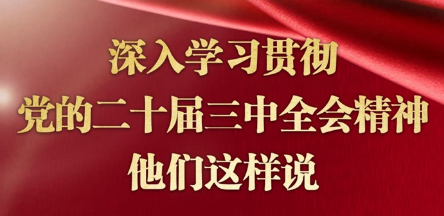 深入學習貫徹黨的二十屆三中全會精神，他們這樣說