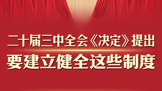 二十屆三中全會(huì)《決定》提出要建立健全這些制度