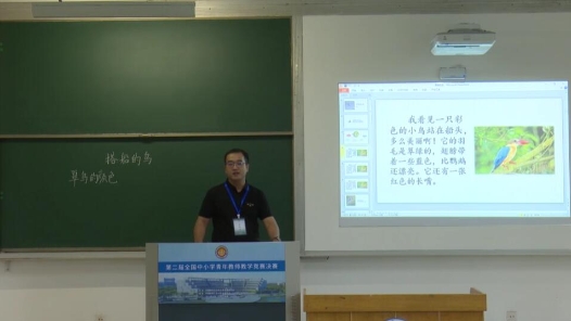 搭船的鳥