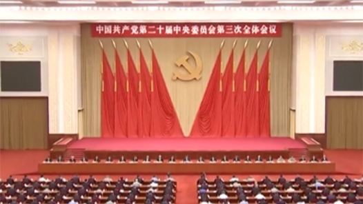 學習貫徹黨的二十屆三中全會精神｜同向同行 在推進中國式現(xiàn)代化中作出新貢獻