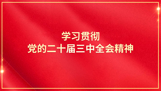 學習貫徹黨的二十屆三中全會精神丨學習貫徹黨的二十屆三中全會精神中央宣講團在教育系統(tǒng)宣講