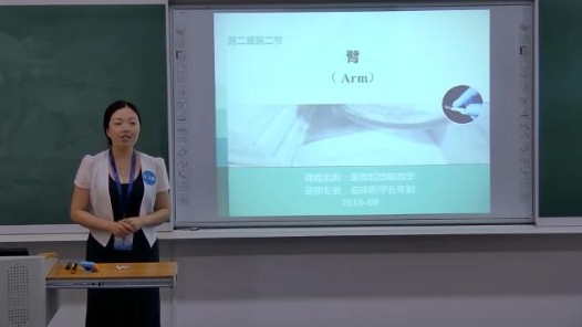 醫(yī)用局部解刨學-臂