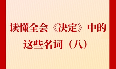 新聞多一點(diǎn) | 讀懂全會(huì)《決定》中的這些名詞（八）