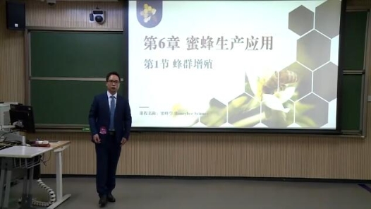 蜂群增殖
