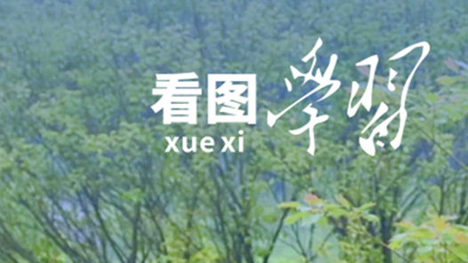 看圖學(xué)習(xí)·改革為人民｜堅(jiān)持以人民為中心 在改革中持續(xù)增進(jìn)民生福祉