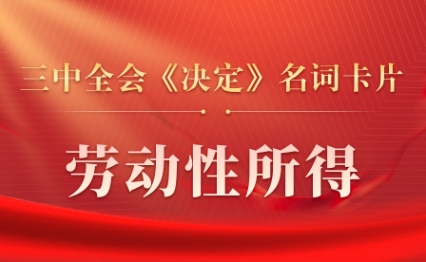 三中全會(huì)《決定》名詞卡片天天學(xué)：勞動(dòng)性所得