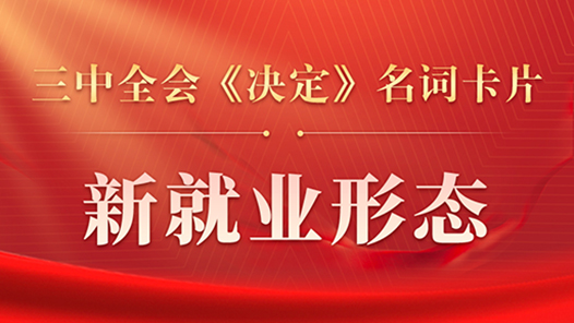 三中全會(huì)《決定》名詞卡片天天學(xué)：新就業(yè)形態(tài)