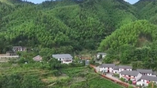 奮進(jìn)強(qiáng)國路 闊步新征程·老區(qū)行｜弘揚(yáng)井岡山精神 推動(dòng)鄉(xiāng)村全面振興