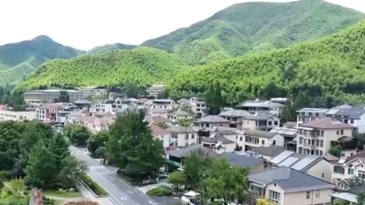 奮進(jìn)強(qiáng)國路 闊步新征程·老區(qū)行｜金寨的“金果子”熟了