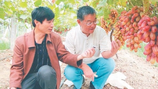 輝煌75載 與共和國同成長的勞動模范 | 趙亞夫：惠農(nóng)興農(nóng)“活雷鋒”