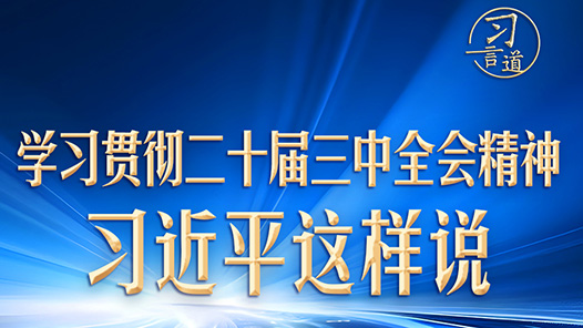 習(xí)言道｜學(xué)習(xí)貫徹二十屆三中全會(huì)精神，習(xí)近平這樣說(shuō)