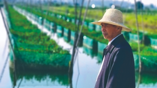 輝煌75載 與共和國同成長的勞動模范 | 陳江啟：網(wǎng)箱養(yǎng)鱔蹚出致富路