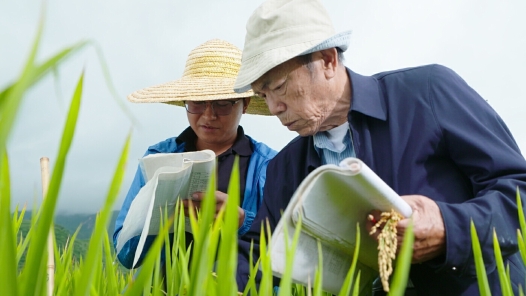 輝煌75載 與共和國同成長的勞動模范 | 蔣志農(nóng)：七彩云南“水稻之父”