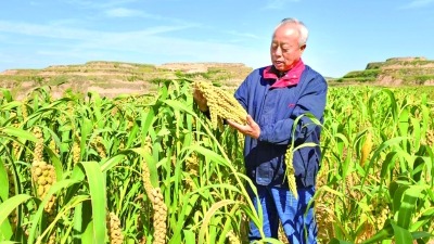 輝煌75載 與共和國同成長的勞動模范 | 張雷威：“老黃牛”拓出致富路