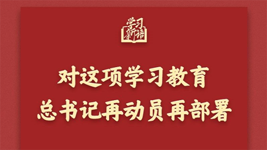 學(xué)習(xí)新語(yǔ)｜對(duì)這項(xiàng)學(xué)習(xí)教育，總書記再動(dòng)員再部署