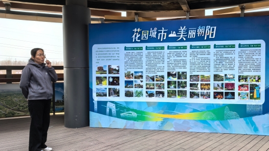 王惠