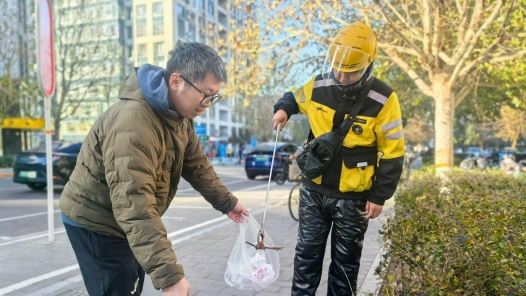 李新星