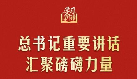 學(xué)習(xí)新語(yǔ)｜總書記重要講話匯聚磅礴力量