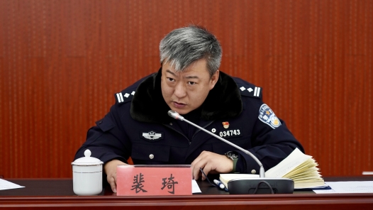 裴琦