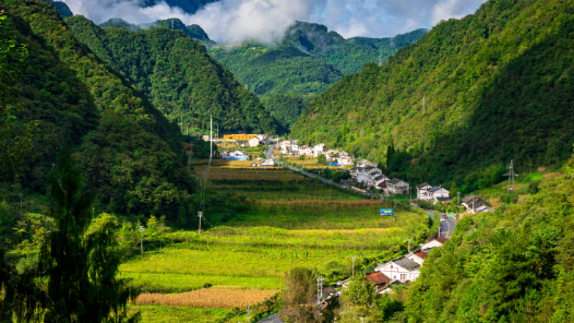 新春走基層·建設(shè)宜居宜業(yè)和美鄉(xiāng)村｜于營(yíng)村的幸?！叭纸?jīng)”