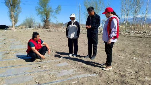 鍥而不舍落實(shí)中央八項(xiàng)規(guī)定精神｜從會(huì)議桌轉(zhuǎn)向田間地頭——新疆精河縣農(nóng)技干部蹲點(diǎn)助農(nóng)見(jiàn)聞