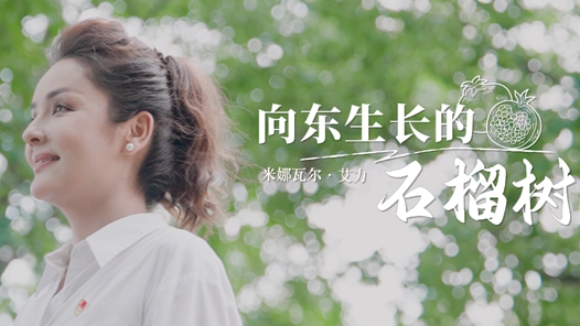 向東生長(zhǎng)的石榴樹(shù)