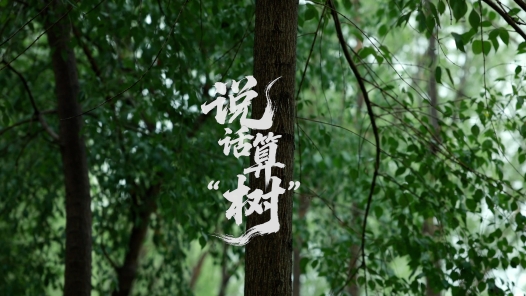 說(shuō)話算“樹(shù)”