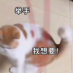 舉手 想要