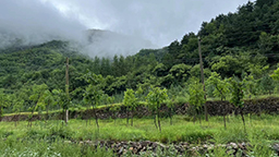 連續(xù)報(bào)道·報(bào)效祖國(guó) 建功西部丨用心里的火，點(diǎn)亮夢(mèng)想的燈