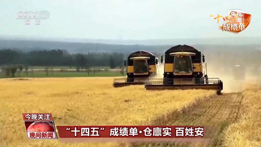 “十四五”成績(jī)單丨14億多中國(guó)人的飯碗端得更牢 農(nóng)民的腰包越來越鼓