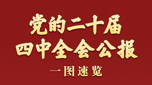 學(xué)習(xí)新語(yǔ)丨黨的二十屆四中全會(huì)公報(bào)一圖速覽