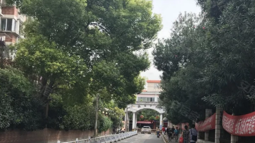 貫徹四中全會(huì)精神一線見(jiàn)聞｜社區(qū)治理來(lái)了“生力軍”