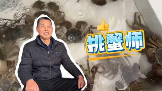 三工視頻·新360行之挑蟹師｜螃蟹“選美”裁判長(zhǎng)