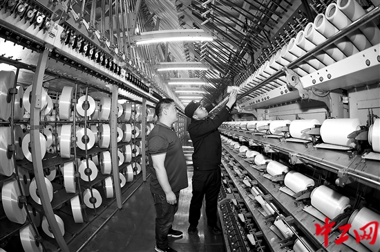 3262199_tpzz_1765959042430_b