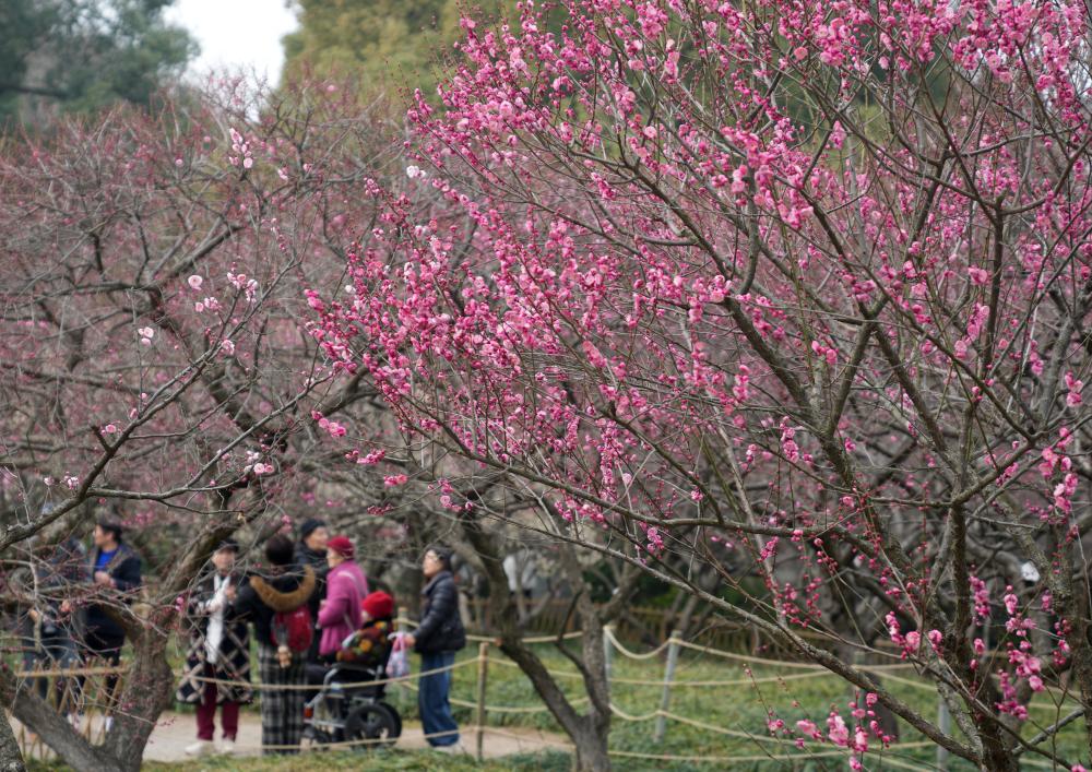 20260204693632520f404b3c943f80682fc57920_438eff792a324eb290708fef7fc79acf