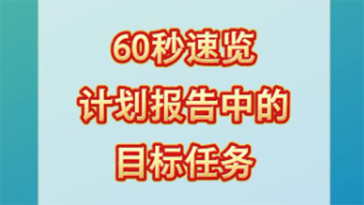 60秒速覽計(jì)劃報(bào)告中的目標(biāo)任務(wù)