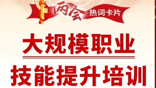兩會(huì)熱詞丨大規(guī)模職業(yè)技能提升培訓(xùn)