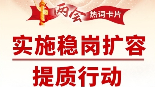 兩會(huì)熱詞丨實(shí)施穩(wěn)崗擴(kuò)容提質(zhì)行動(dòng)