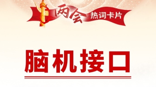 兩會(huì)熱詞丨腦機(jī)接口