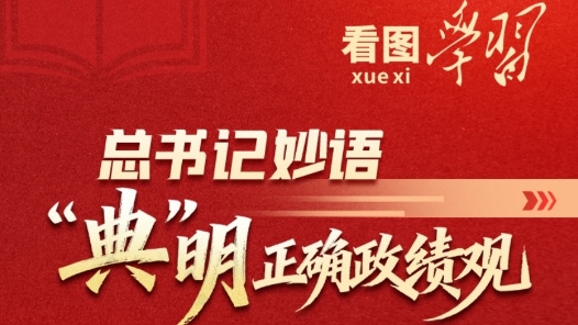 看圖學習｜總書記妙語“典”明正確政績觀