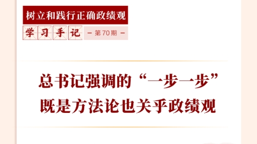 學習手記｜總書記強調的“一步一步”既是方法論也關乎政績觀